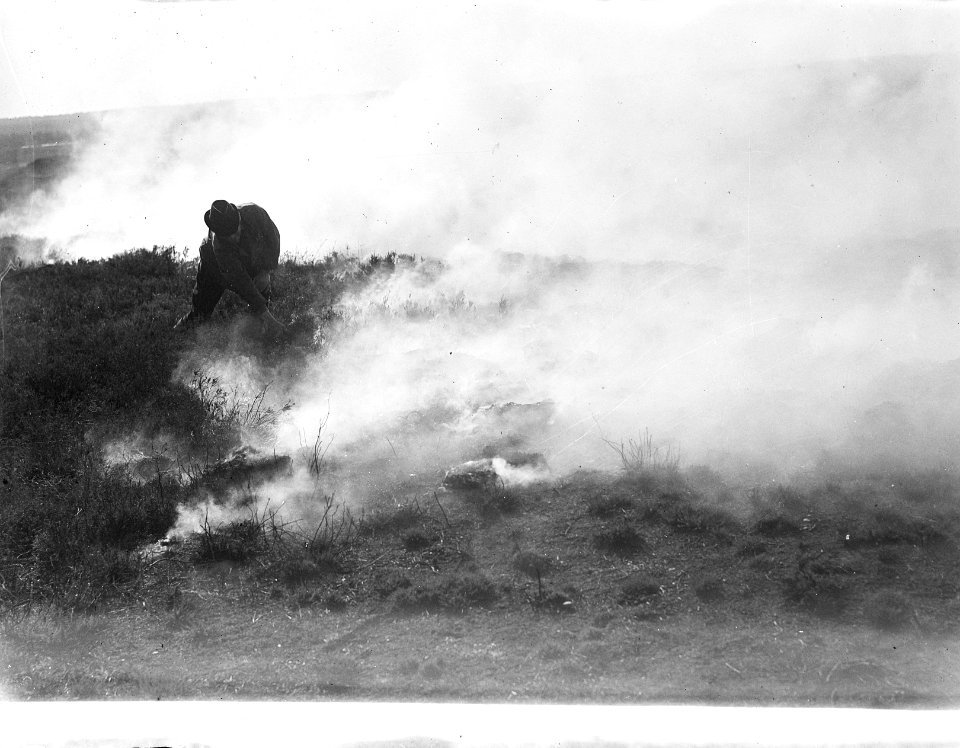 Leusderheide wordt afgebrand om achtergebleven munitie te vernietigen. Boswachte, Bestanddeelnr 902-3174