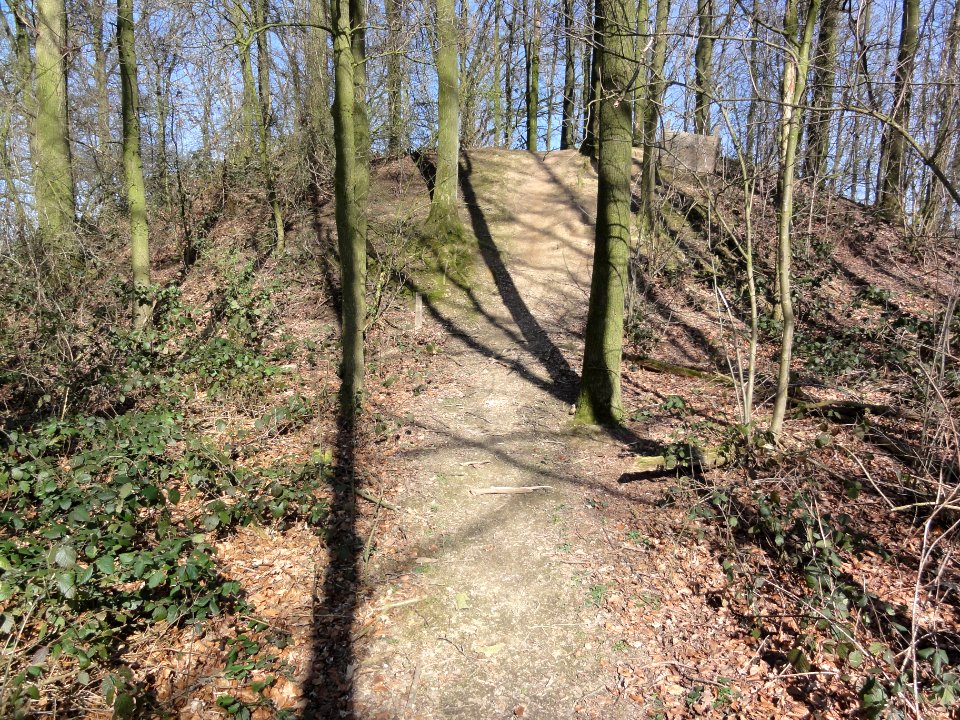 Leur (Wijchen) van Balverenlaan bij 4 Vliedberg Gem. Mon. (05)