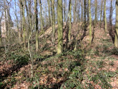 Leur (Wijchen) van Balverenlaan bij 4 Vliedberg Gem. Mon. (03)