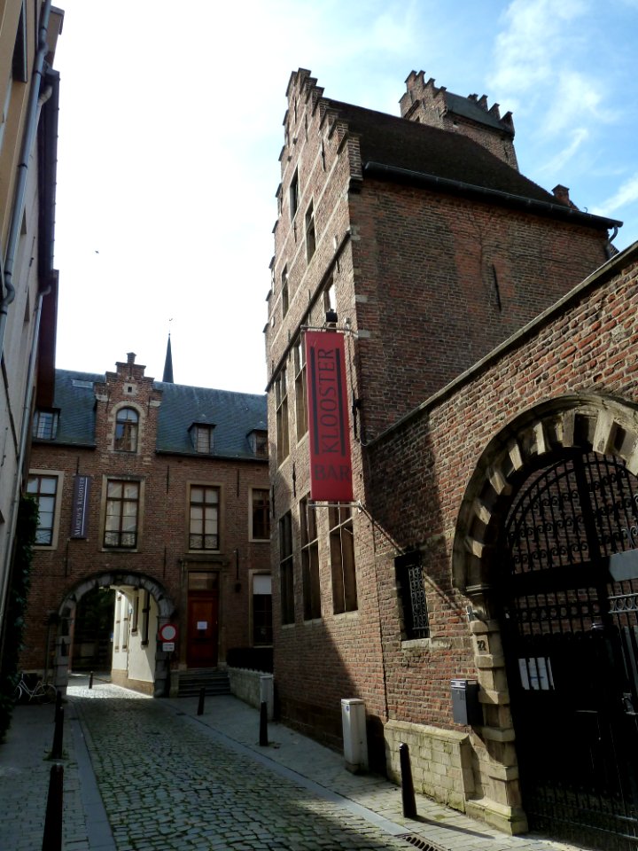 Leuven-Predikherenstraat 22 (16)