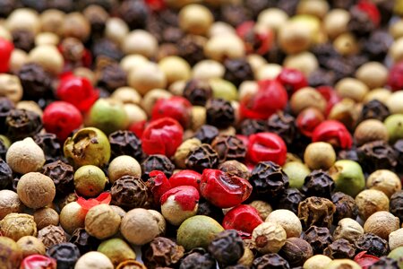Peppercorns black pepper green pepper