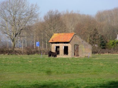 Leur (Wijchen) Leurseweg 8, kippenhok in weiland Gem.Mon
