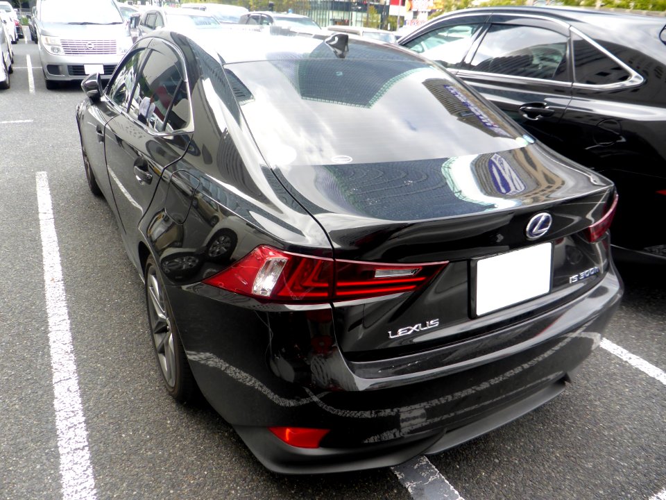 Lexus IS300h F SPORT (DBA-GSE31) rear