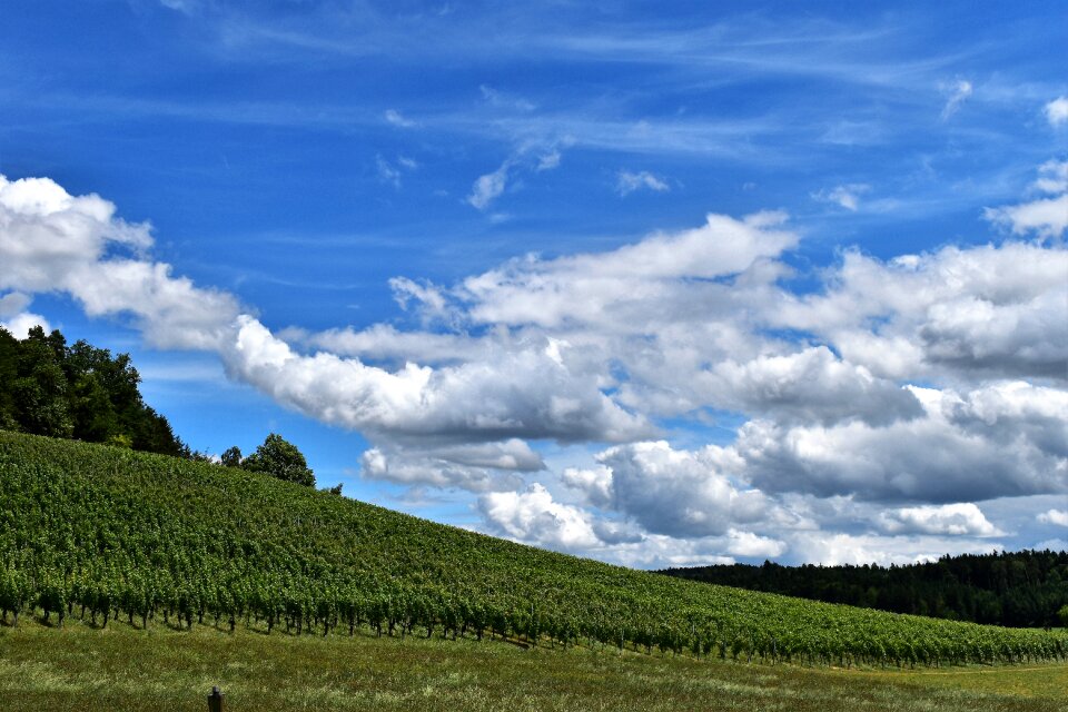 Environment horizon rebhang photo