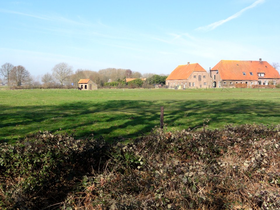 Leur (Wijchen) Leurseweg 8, boerderij met kippenhok en weiland Gem.Mon