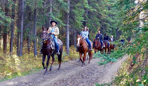 Equestrian horseback recreation