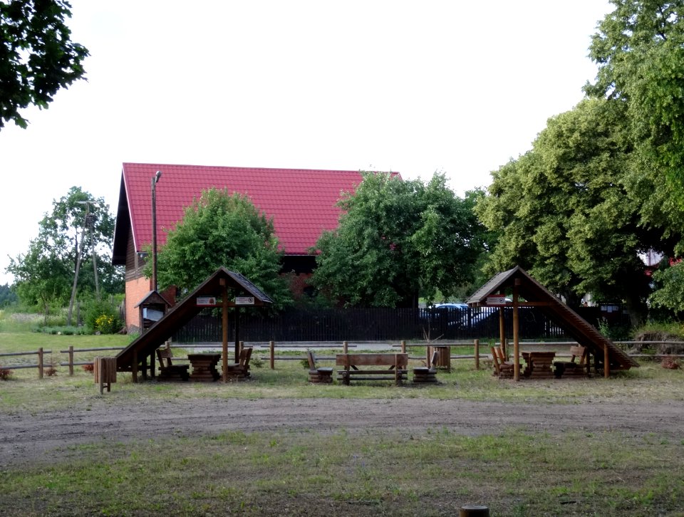 Leszyce lesnictwo Dabki 1 7-2015