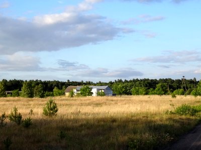Leszyce 3 7-2015