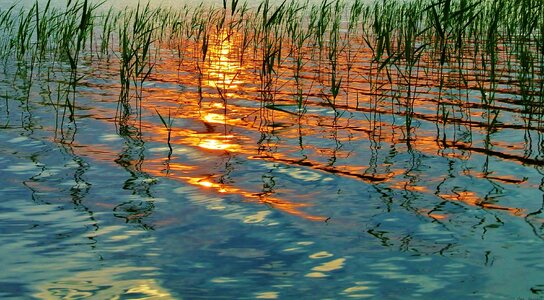 Summer sunset lake photo