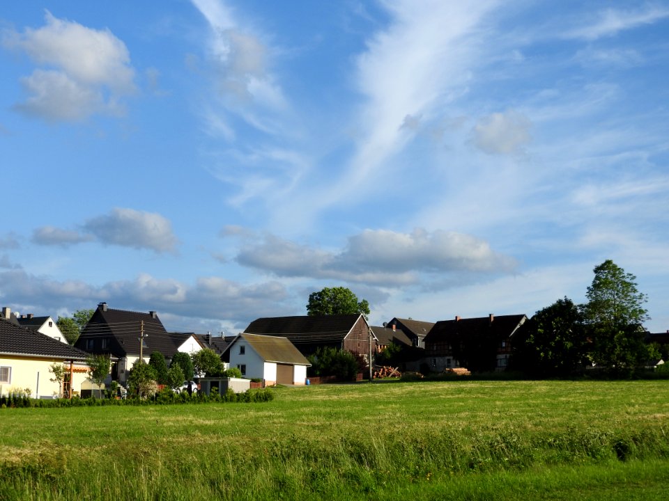 Liebengrün 03