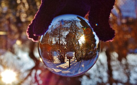 Trees garden glass