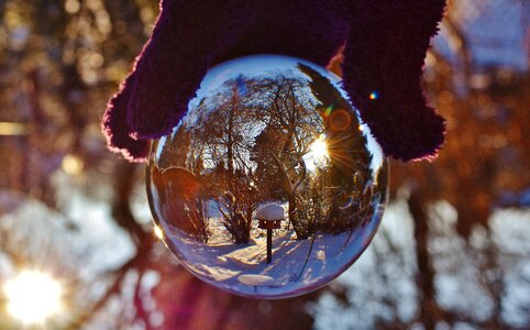 Trees garden glass photo