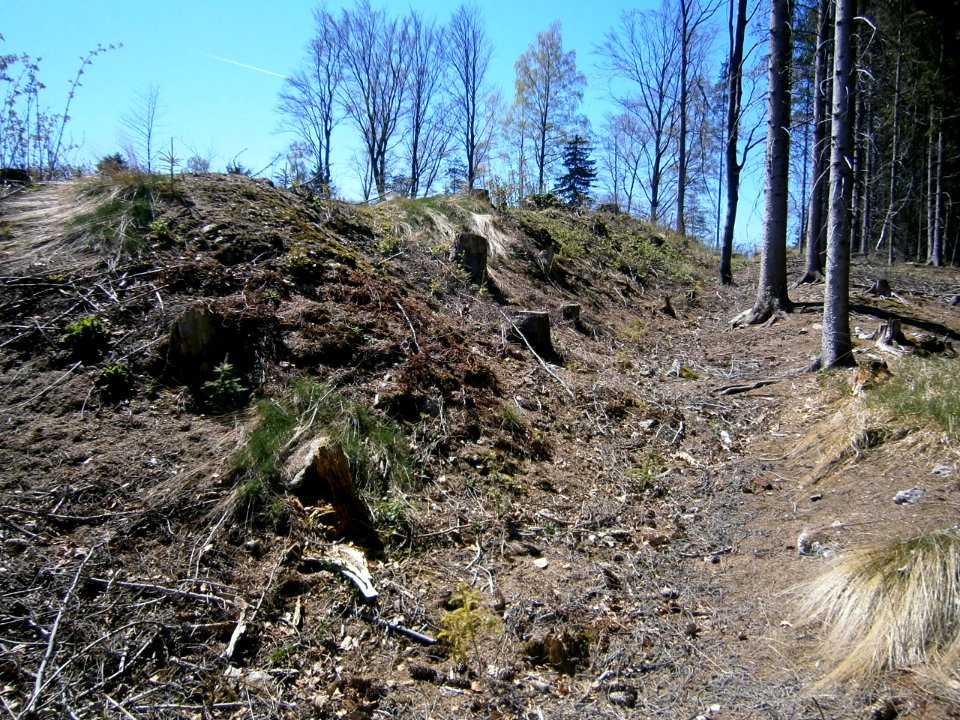 Liebenau Türkenschanze 1