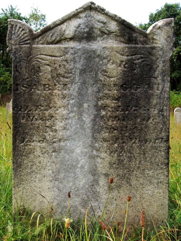 Liggett (Isabella), Bethany Cemetery, 2015-08-30, 01