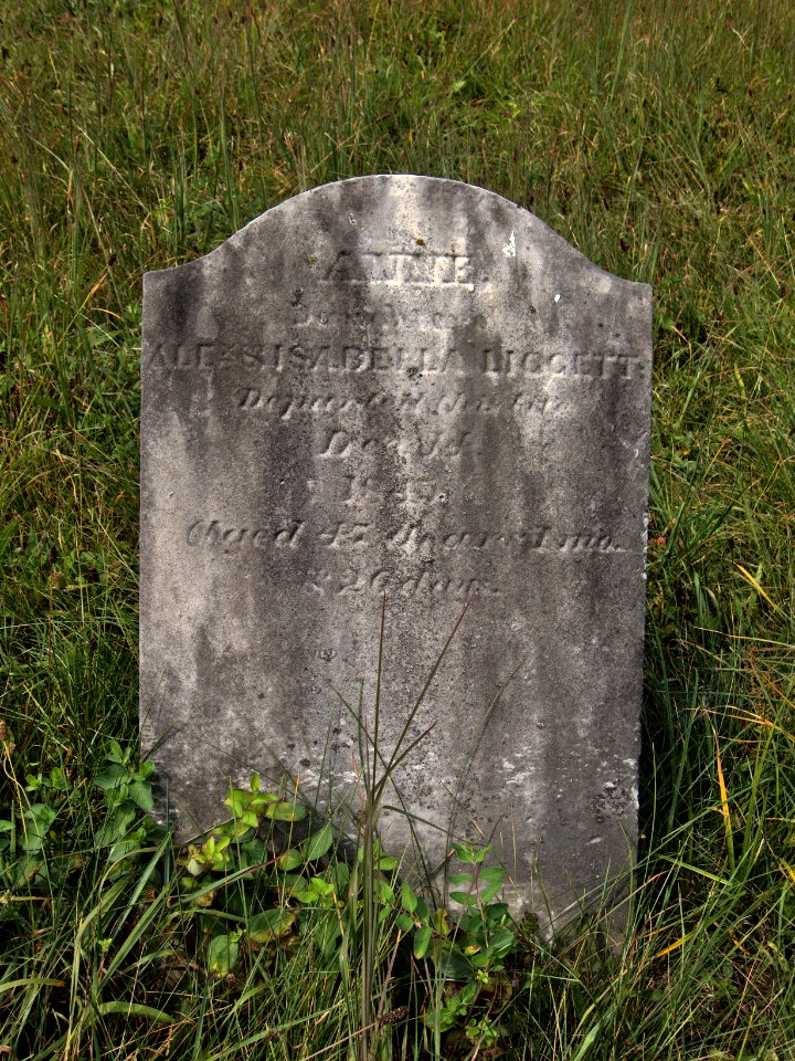 Liggett (Anne), Bethany Cemetery, 2015-08-30, 01