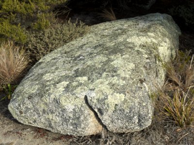 Lichen-covered rock at Bicheno 20190725-018 photo