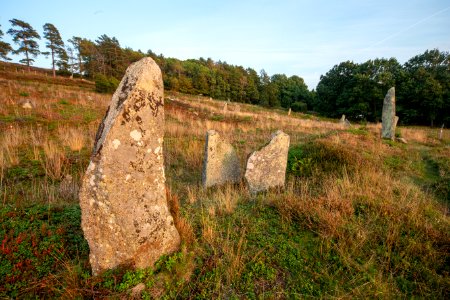 Li gravfält – rest sten med fler i bakgrunden photo