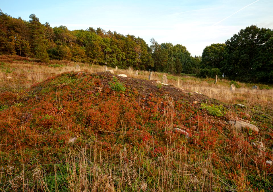 Li gravfält – gravhög