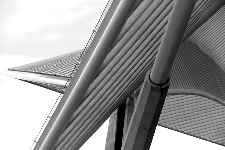 Liège Guillemins (32788937)