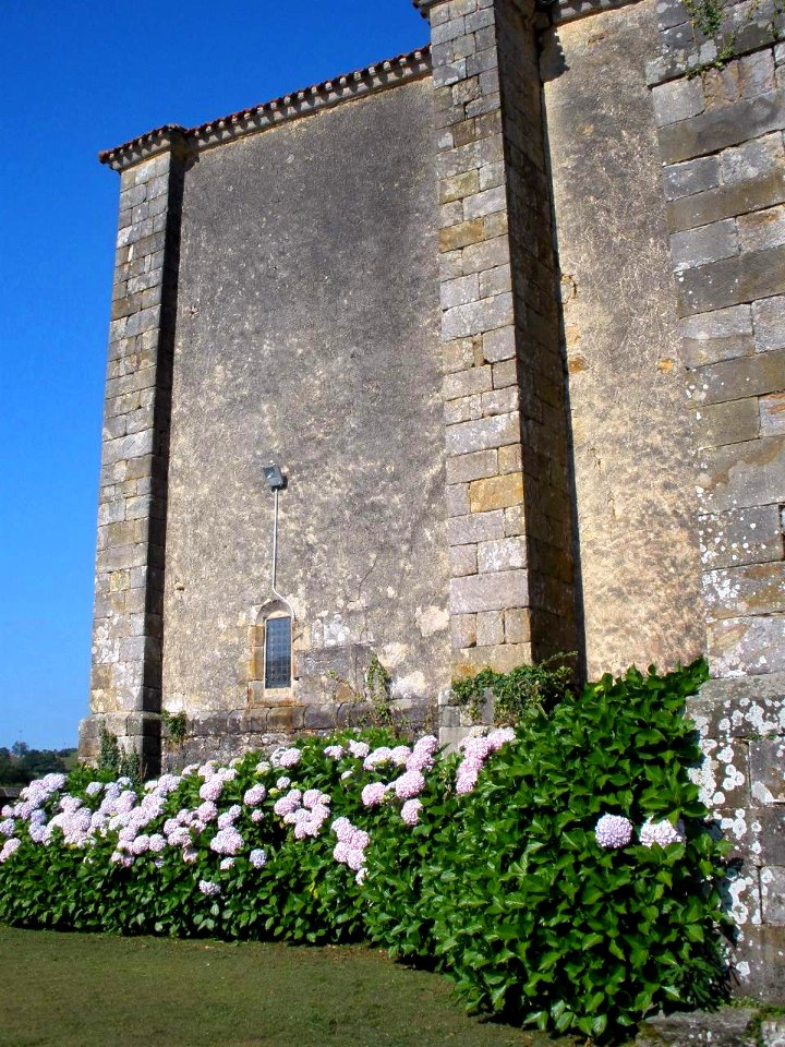 Liérganes - Iglesia de San Pedro ad Víncula 07