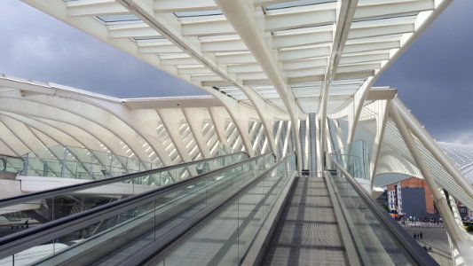 Liège-Guillemins train station (8)