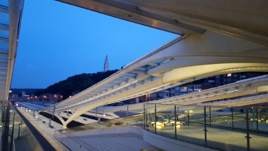 Liège-Guillemins train station (18)