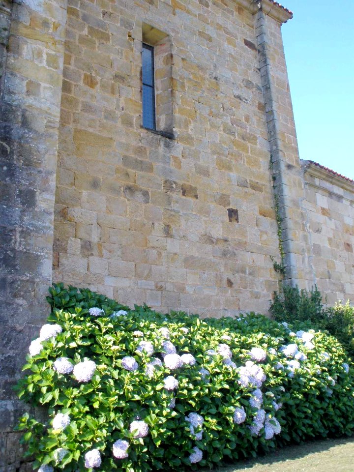 Liérganes - Iglesia de San Pedro ad Víncula 04