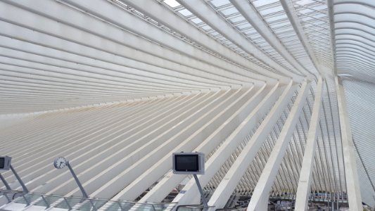 Liège-Guillemins train station (9)