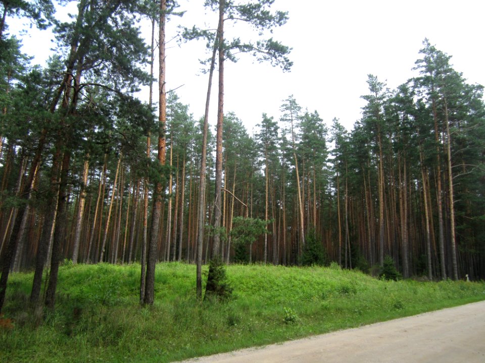 Liūlinės II pilkapynas