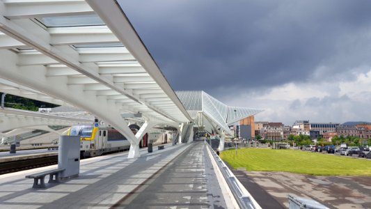 Liège-Guillemins train station (5)