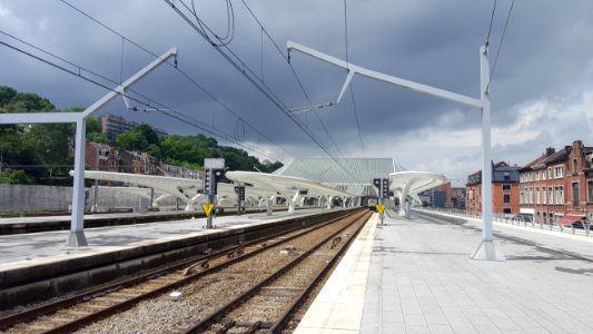 Liège-Guillemins train station (4)