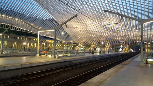 Liège-Guillemins train station (14)