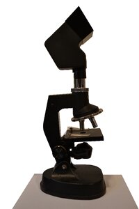 Vision science scientist
