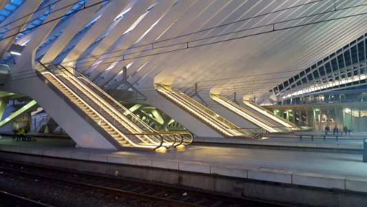 Liège-Guillemins train station (15)