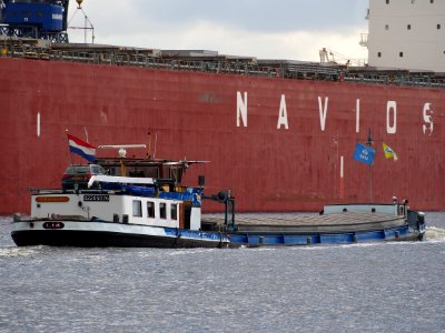 Lia (ship, 1950), ENI 02205076, Noordzeekanaal, port of Amsterdam pic3