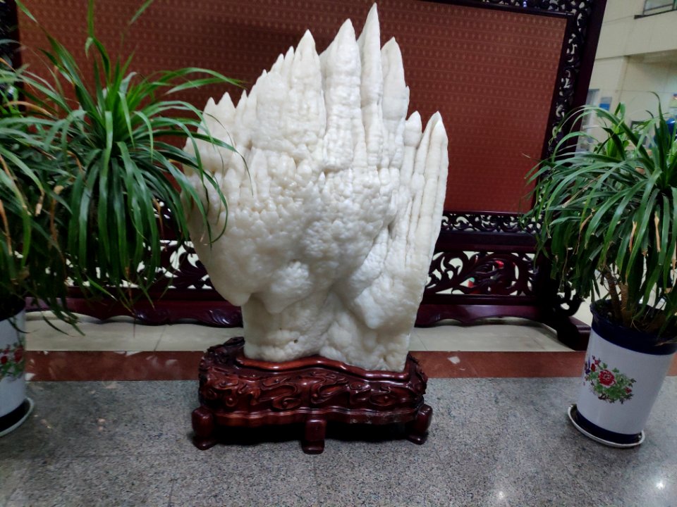 Library of Weifang University 04