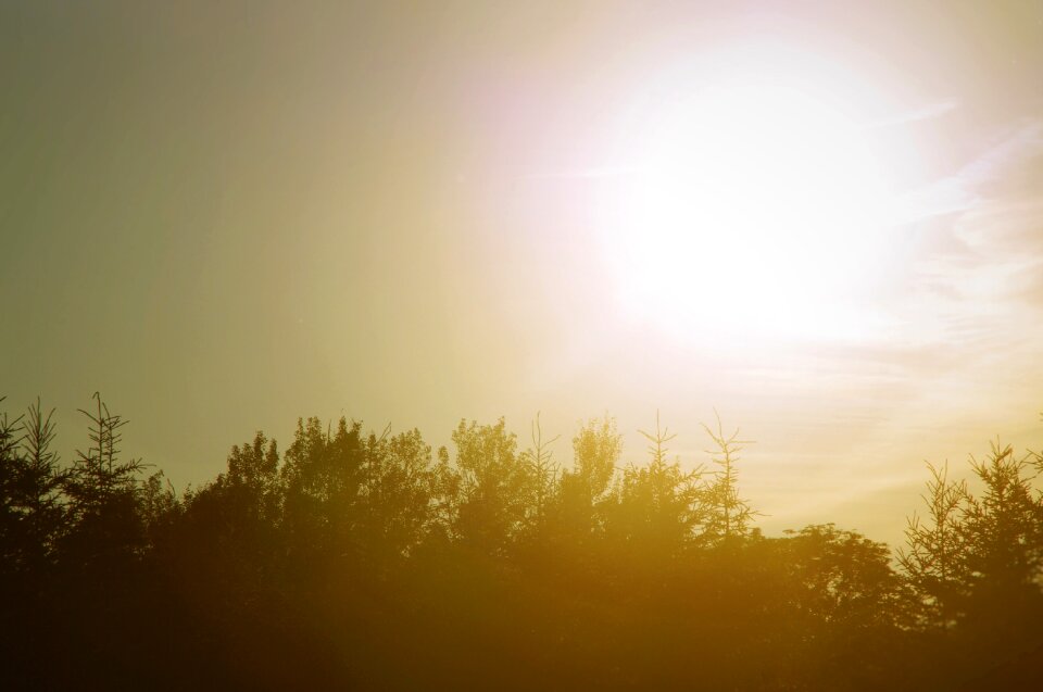 Mist nature silhouette