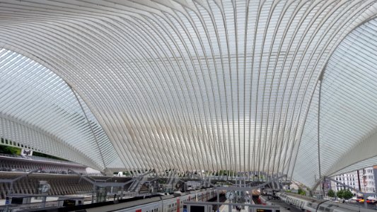 Liège-Guillemins train station (12)
