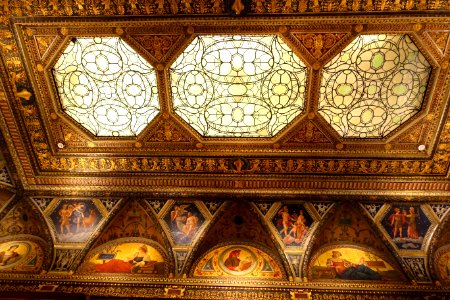 Library ceiling - Morgan Library & Museum - New York City - DSC06559