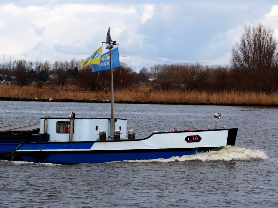 Lia (ship, 1950), ENI 02205076, Noordzeekanaal, port of Amsterdam pic1