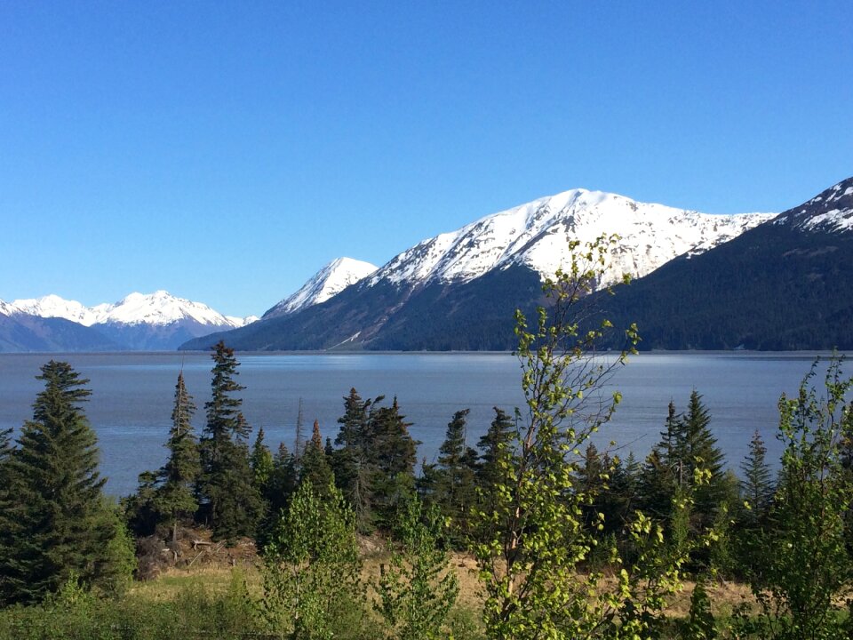 Alaska bird point mountain