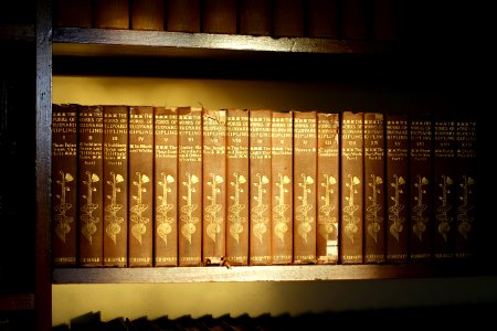 Library set - Naulakha - Dummerston, Vermont - DSC06886