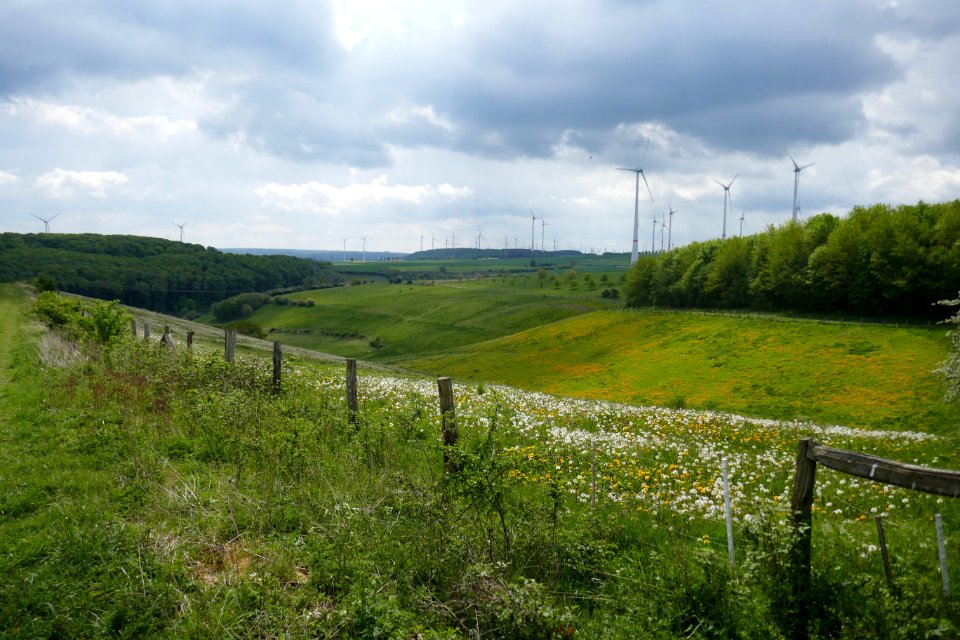 Lichtenau - Geimer Berg - 26
