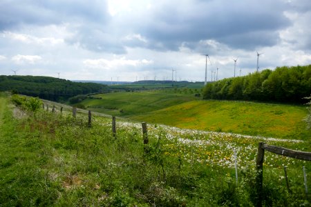 Lichtenau - Geimer Berg - 26