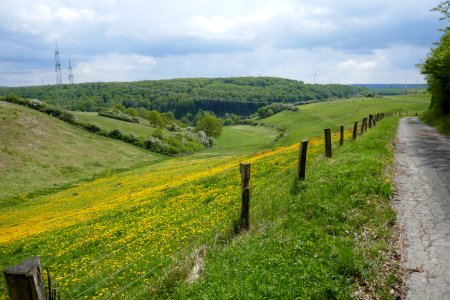 Lichtenau - Geimer Berg - 21
