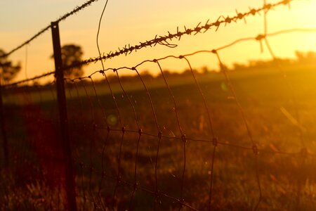 Barbed wire fence wire mesh photo