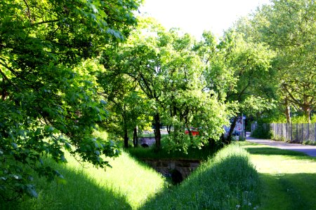 Lichtenrader Graben 20140503 82