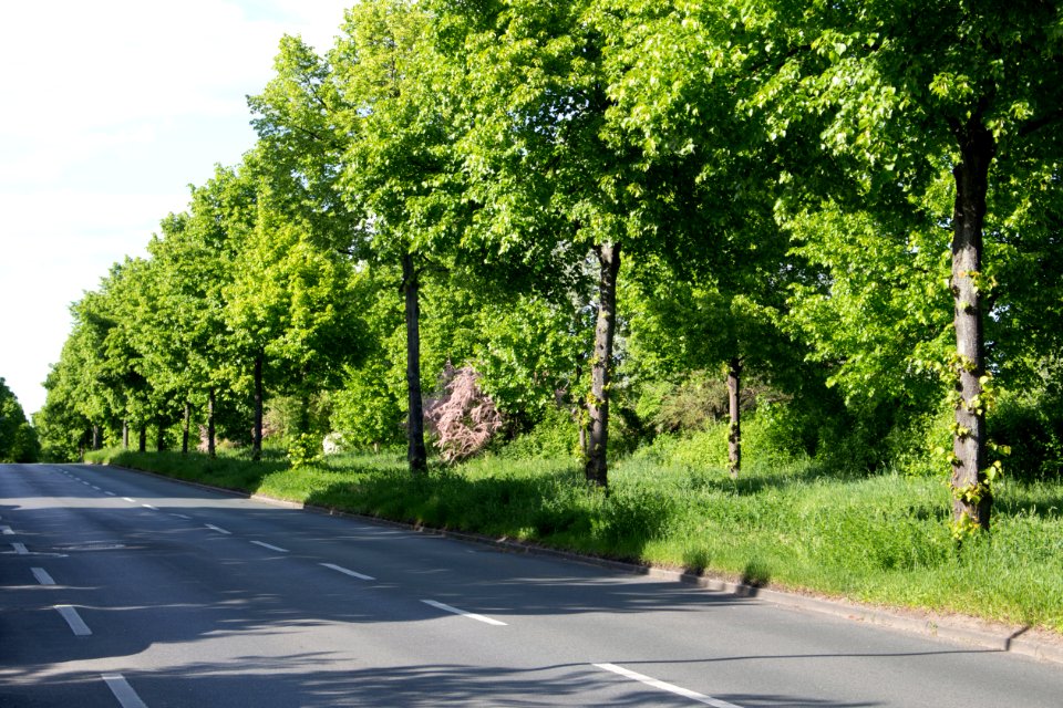 Lichtenrader Damm, Güteraußenringbrücke 20140503 71