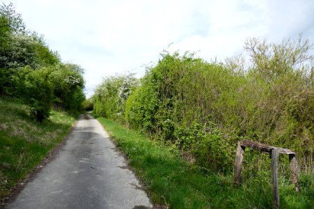 Lichtenau - Geimer Berg - 24