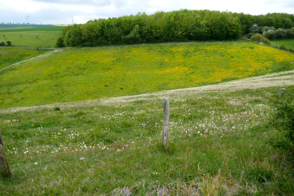 Lichtenau - Geimer Berg - 18